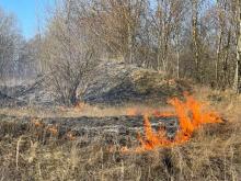 Hasta 15 incendios forestales se registran a diario en la capital