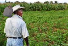 Sostiene gremio que aún no hay trabajadores del campo aguascalentenses deportados