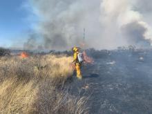 Con mega incendios forestales, se perdió lo equivalente a 8 veces la extensión de la UAA 