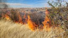 Incendio en Aguascalientes 
