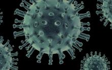 Confirma ISSEA 8 casos de Metapneumovirus en Aguascalientes en lo que va del año
