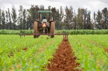 CAMPO