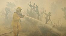 Todos ellos están ubicados al sur-poniente de la ciudad y ya están los bomberos en el lugar