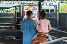 Prohibido el uso de animales durante la Feria Nacional de San Marcos: Proespa