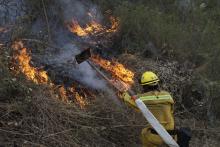Descarta PROESPA que incendios provocados sean para fraccionar; son área protegida, agregan