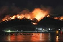 Incendio forestal