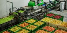 Industria Alimentaria