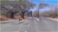 Caos en Jalisco