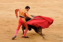 PVEM presenta propuesta de corridas de toros sin violencia en Aguascalientes