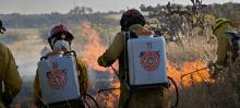 Incendios en Aguascalientes 