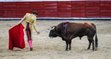 Corridas de toros