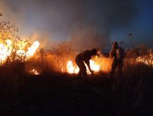 Aguascalientes, entre las entidades más afectadas por los incendios forestales: Conafor