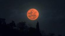 Eclipse Lunar 2025