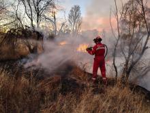 Bombero en labores