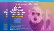 Caravana de la Salud Canina y Felina