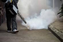 Servicio de fumigación contra mosquito del dengue aumentaría 35% en temporada de lluvia