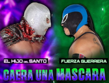  Lucha libre mexicana