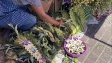 No utilizar laurel silvestre durante domingo de ramos, la petición de autoridades ambientales 