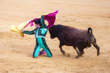 Corridas de toros *Sin reportes de amenazas contra antitaurinos, sostiene Patronato