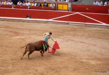 No porque ecologistas quieran, se acabará fuente de empleos. No queremos una kermesse: Empresarios sobre corridas de toros