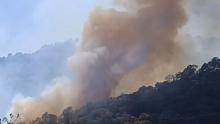 Incendio forestal 