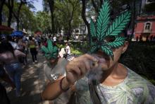 Día Mundial de la Marihuana: marchan en CDMX por el acceso libre al cannabis