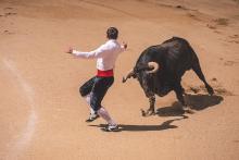 Animalistas aún en espera de fallo federal sobre corridas de toros en Aguascalientes