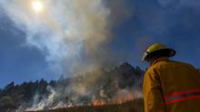 Incendios forestales