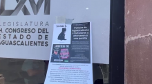 Denuncias maltrato animal 