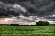 Lluvias
