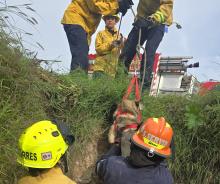 rescate