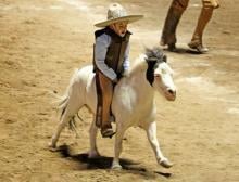 nacionalito charro