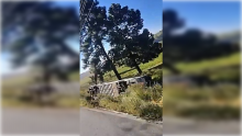 Autobús volcado 