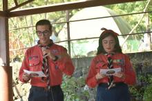 Scouts 