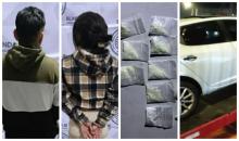 distribuidores