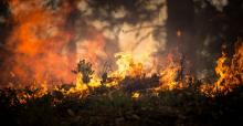 Hasta 25 incendios atiende diariamente protección civil municipal de Aguascalientes