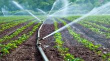 Gremio campesino señala rezago en trámite de 900 concesiones de agua de Aguascalientes; cuestionan reforma