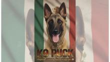 agente k9