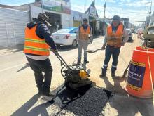 Bacheo