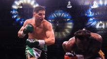 Boxeo 