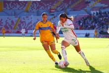 TIGRES VS CENTELLAS