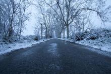 Nieve 