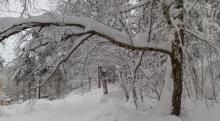 Tormenta invernal 