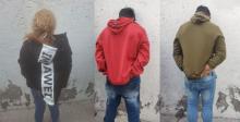 distribuidores