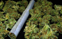 Marihuana 
