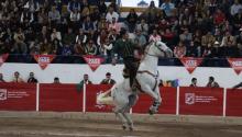 Corridas de toros
