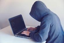 Fraude cibernético