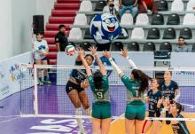 Gigantes 3-0 Leonas