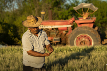 Financiera Rural