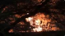 Incendio forestal en Hidalgo